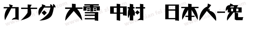カナダ 大雪 中村　日本人字体转换
